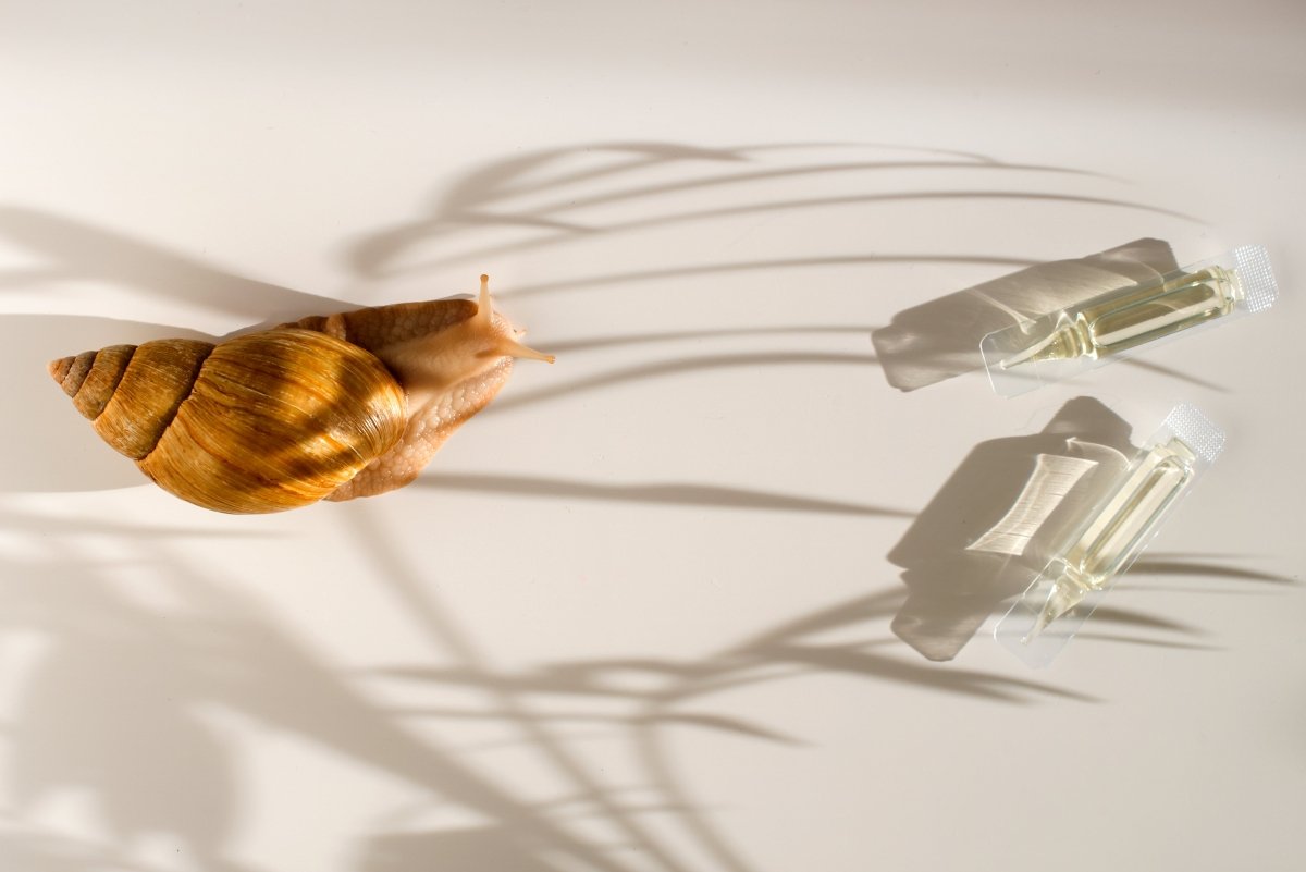 Unlocking The Truth About Snail Mucin For Skincare