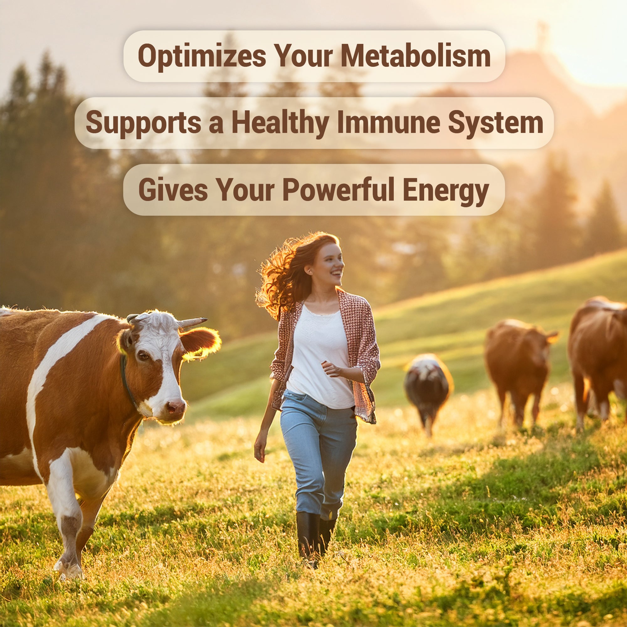 HARMONIFY Bovine Beef Liver Capsules 3100 mg Supplement Nutrient Grass-Fed Non GMO 120 Capsules