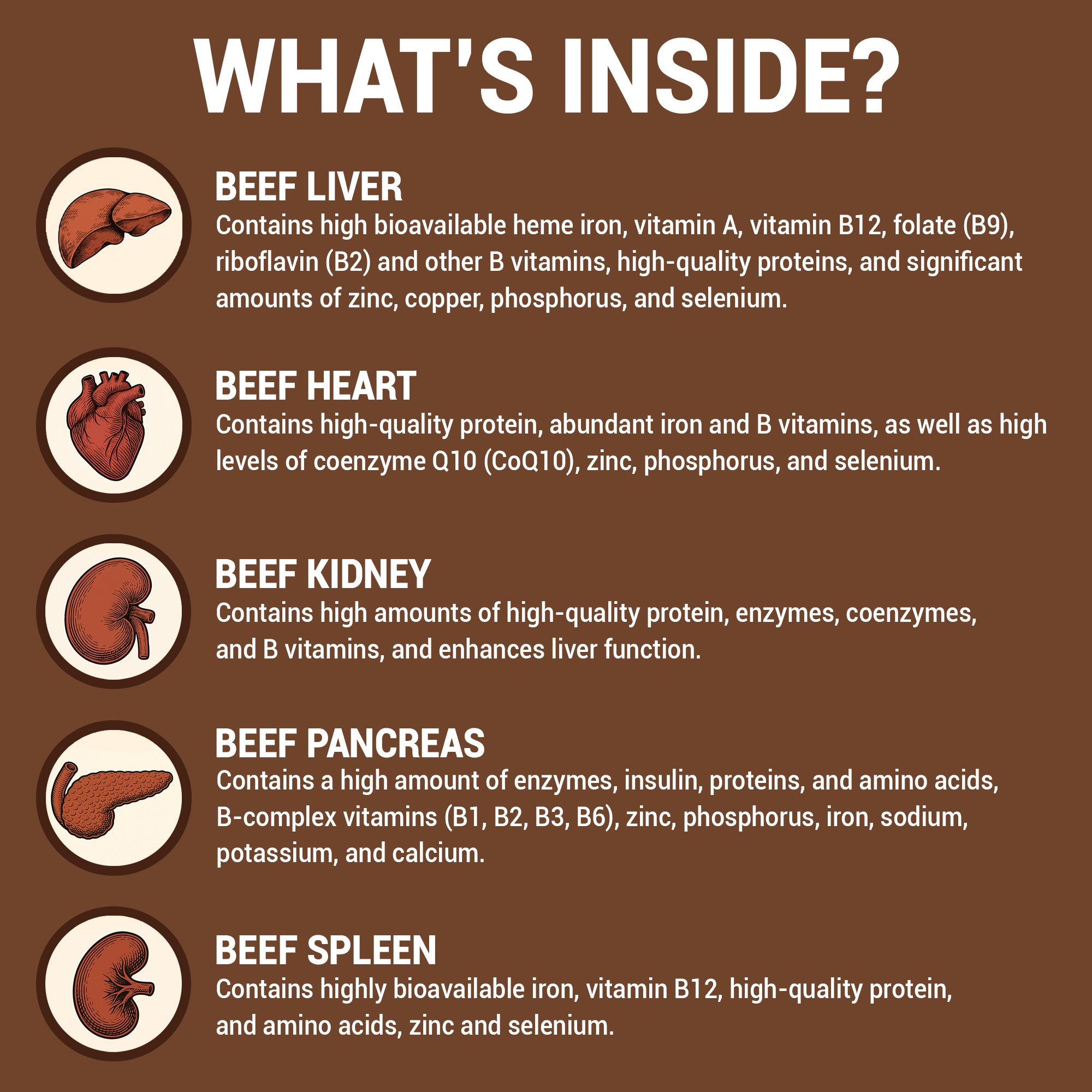 HARMONIFY Bovine Beef Liver Capsules 3100 mg Supplement Nutrient Grass-Fed Non GMO 120 Capsules