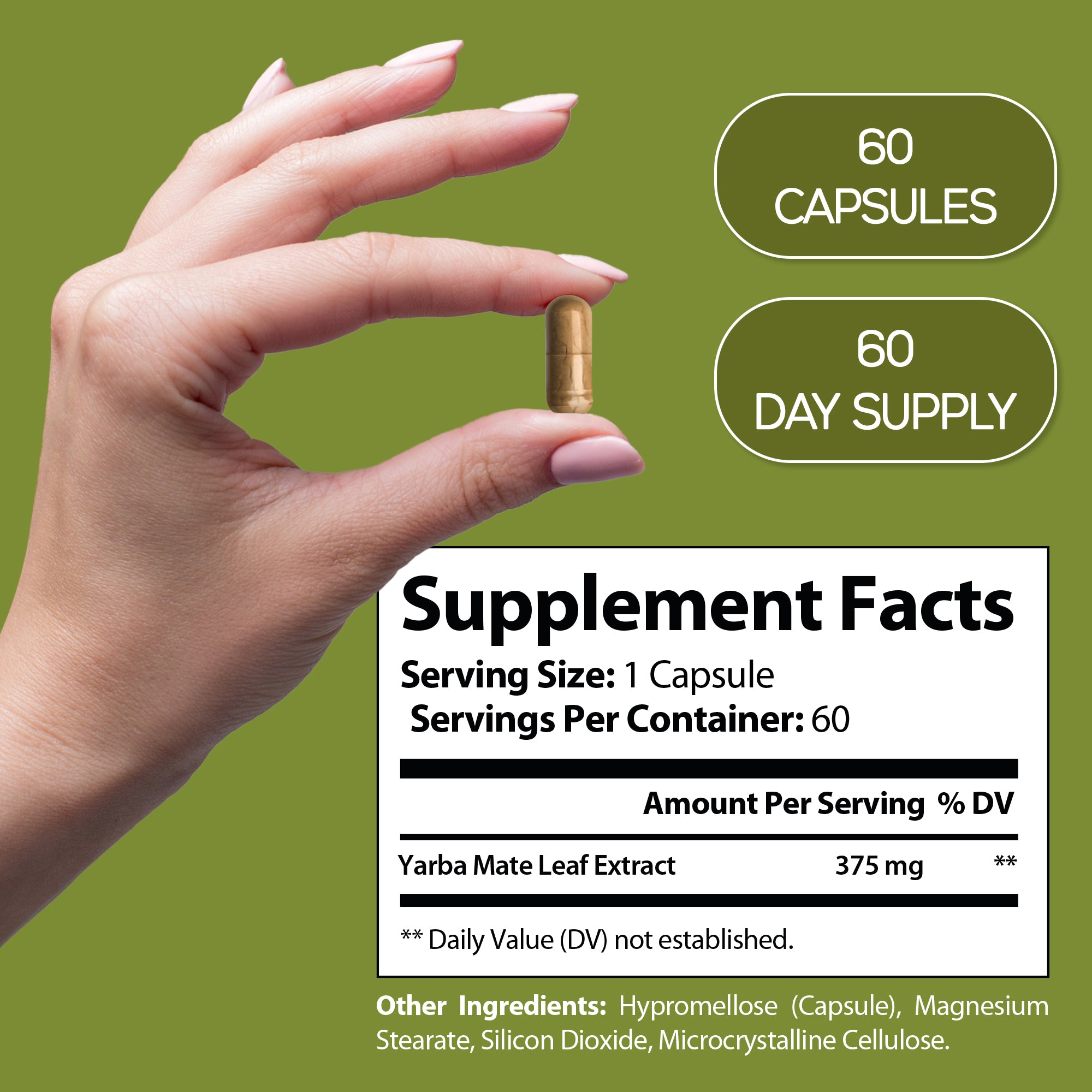 HARMONIFY Yerba Mate Leaf Extract – 375mg, 60 Capsules – Natural Energy Booster, Mental Clarity & Metabolism Support – Caffeine-Rich Herbal Supplement