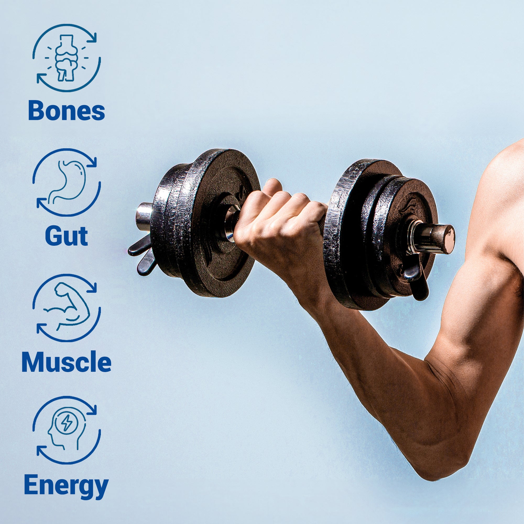 HARMONIFY BPC-157 Blend – with Creatine Monohydrate, Collagen Peptides & Magnesium – 60 Capsules | Muscle Recovery, Joint & Gut Health Support | 1000mg Per Serving | Made in USA