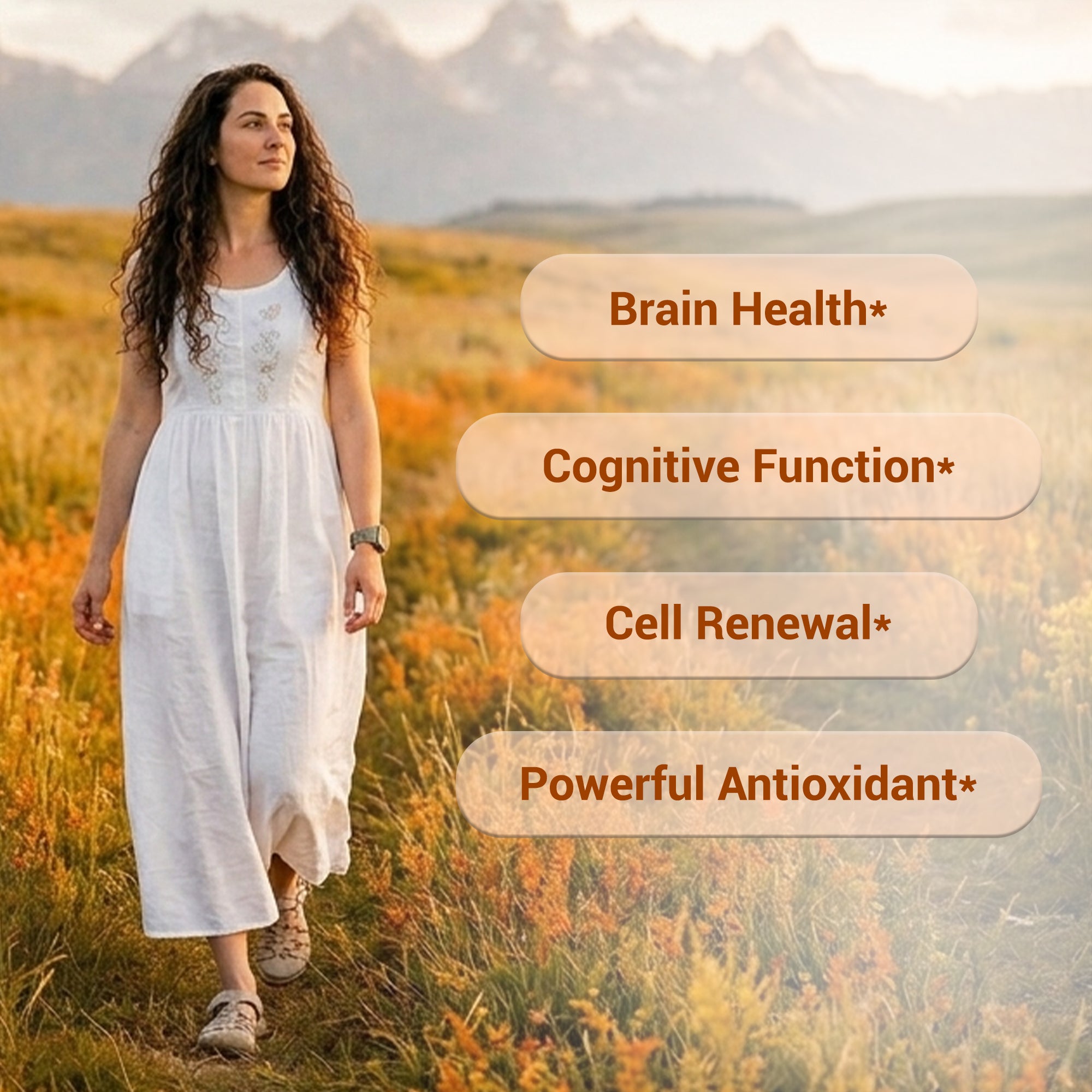 Harmonify Fisetin 100mg per Serving – 60 Capsules (Copy)