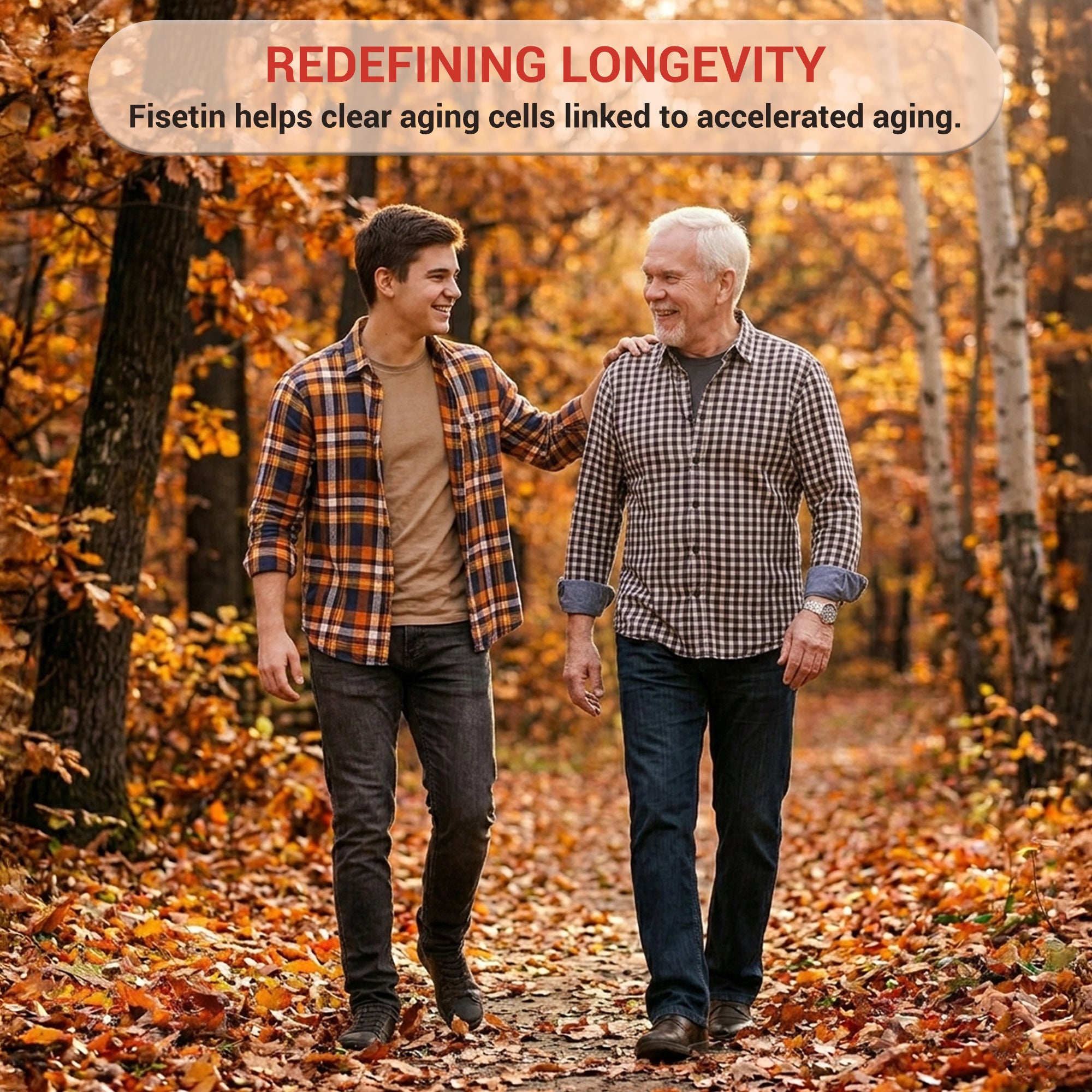 Harmonify Fisetin 100mg per Serving – 60 Capsules (Copy)