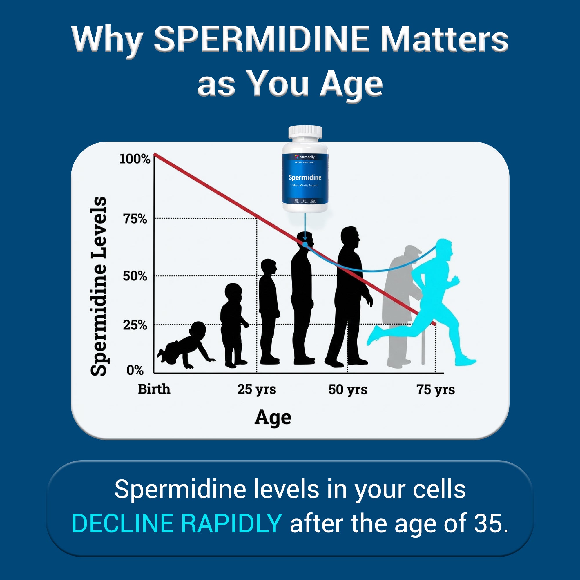 HARMONIFY Spermidine 10mg per Serving – 120 Capsules (60 Day Supply) – Spermidine HCL Supplement – Cellular Vitality Support – Plant-Derived Polyamine – Non-GMO Dietary Supplement