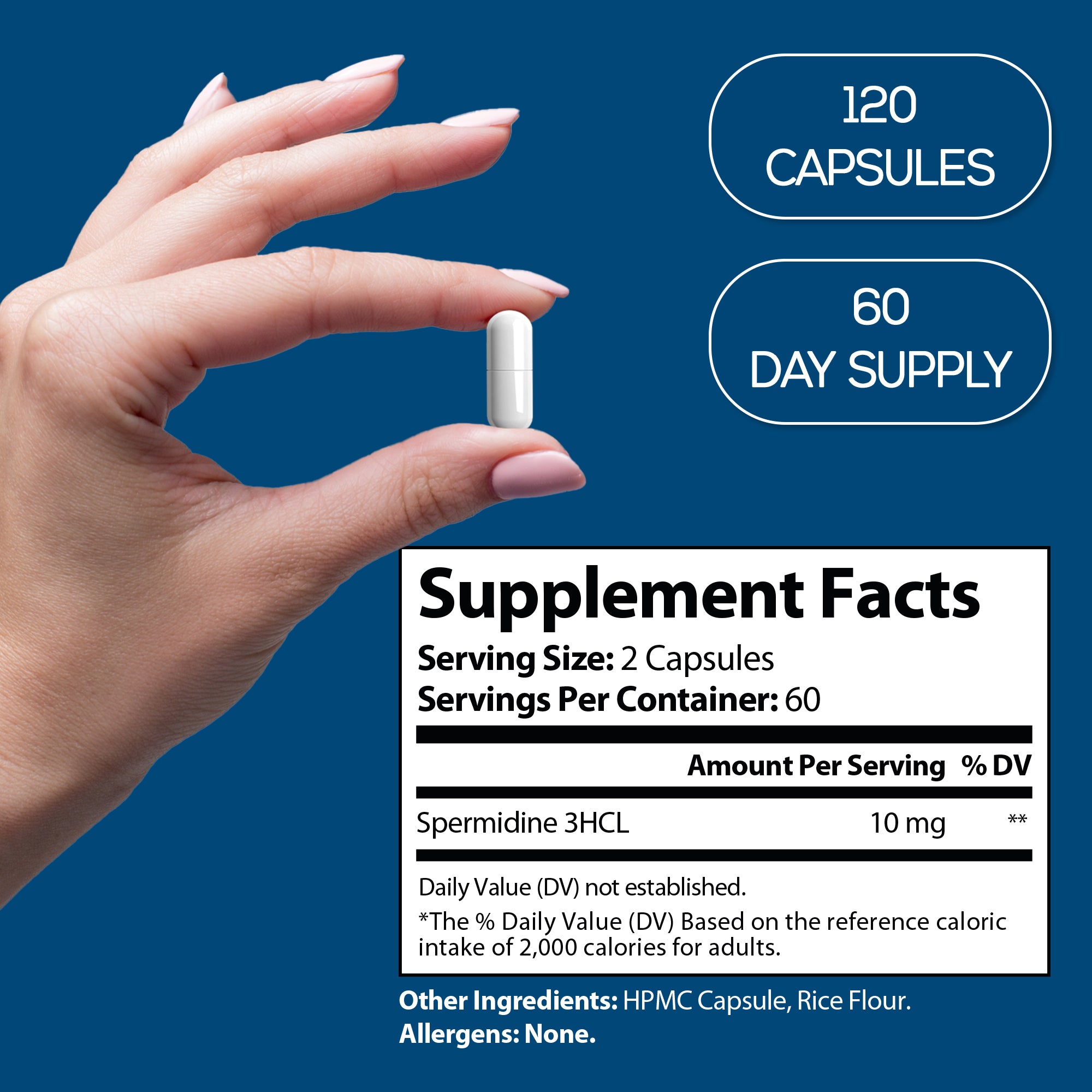 HARMONIFY Spermidine 10mg per Serving – 120 Capsules (60 Day Supply) – Spermidine HCL Supplement – Cellular Vitality Support – Plant-Derived Polyamine – Non-GMO Dietary Supplement