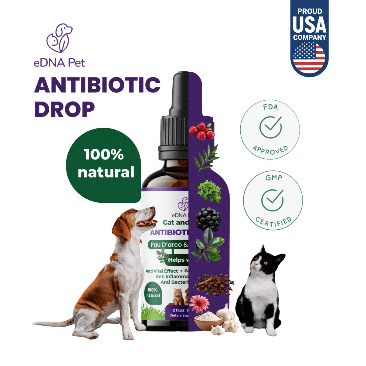 Antibiotic for Dogs & Cats | Dog & Cat Health Supplies Drops | Herbal Remedy with Cranberry, Respiratory & Cold Drop | 2 Fl.Oz - HARMONIFY - Antibiotic for Dogs & Cats | Dog & Cat Health Supplies Drops | Herbal Remedy with Cranberry, Respiratory & Cold Drop | 2 Fl.Oz - HARMONIFY - Pet Supplement - 