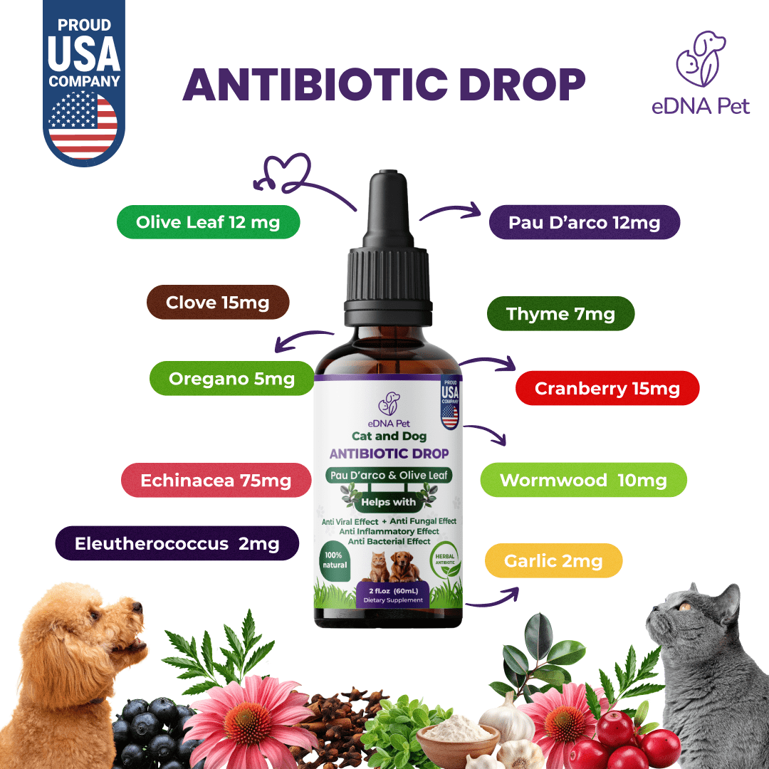 Antibiotic for Dogs & Cats | Dog & Cat Health Supplies Drops | Herbal Remedy with Cranberry, Respiratory & Cold Drop | 2 Fl.Oz - HARMONIFY - Antibiotic for Dogs & Cats | Dog & Cat Health Supplies Drops | Herbal Remedy with Cranberry, Respiratory & Cold Drop | 2 Fl.Oz - HARMONIFY - Pet Supplement - 