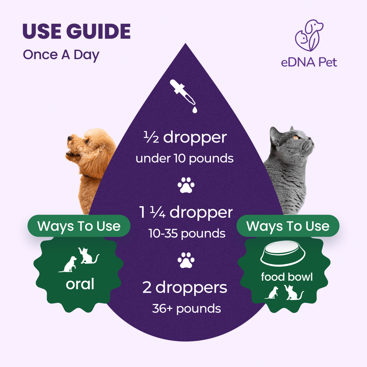 Antibiotic for Dogs & Cats | Dog & Cat Health Supplies Drops | Herbal Remedy with Cranberry, Respiratory & Cold Drop | 2 Fl.Oz - HARMONIFY - Antibiotic for Dogs & Cats | Dog & Cat Health Supplies Drops | Herbal Remedy with Cranberry, Respiratory & Cold Drop | 2 Fl.Oz - HARMONIFY - Pet Supplement - 