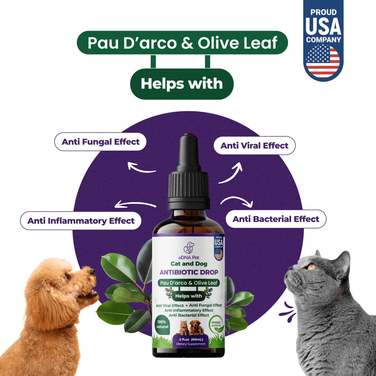 Antibiotic for Dogs & Cats | Dog & Cat Health Supplies Drops | Herbal Remedy with Cranberry, Respiratory & Cold Drop | 2 Fl.Oz - HARMONIFY - Antibiotic for Dogs & Cats | Dog & Cat Health Supplies Drops | Herbal Remedy with Cranberry, Respiratory & Cold Drop | 2 Fl.Oz - HARMONIFY - Pet Supplement - 