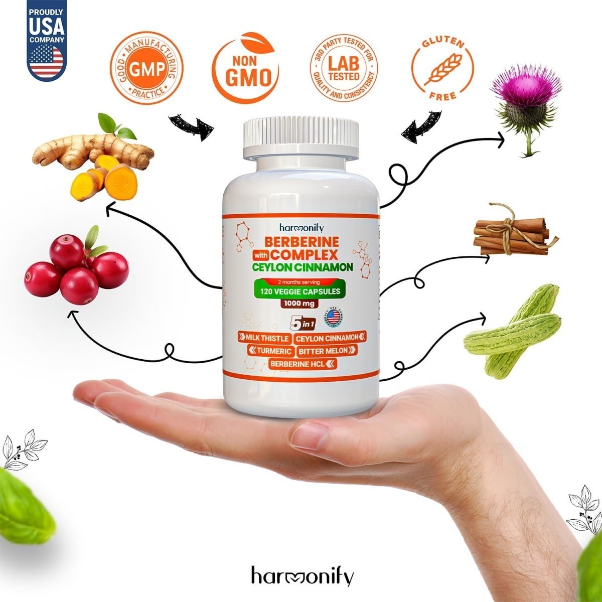 HARMONIFY Berberine with Ceylon Cinnamon, Turmeric, Milk Thistle and Bitter Melon | 1000 mg - HARMONIFY - HARMONIFY Berberine with Ceylon Cinnamon, Turmeric, Milk Thistle and Bitter Melon | 1000 mg - HARMONIFY - HARMONIFY Berberine with Ceylon Cinnamon, Turmeric, Milk Thistle and Bitter Melon | 1000 mg - HARMONIFY - HARMONIFY Berberine with Ceylon Cinnamon, Turmeric, Milk Thistle and Bitter Melon | 1000 mg - HARMONIFY - Supplement - HARMONIFY - Supplement - HARMONIFY - Supplement - 