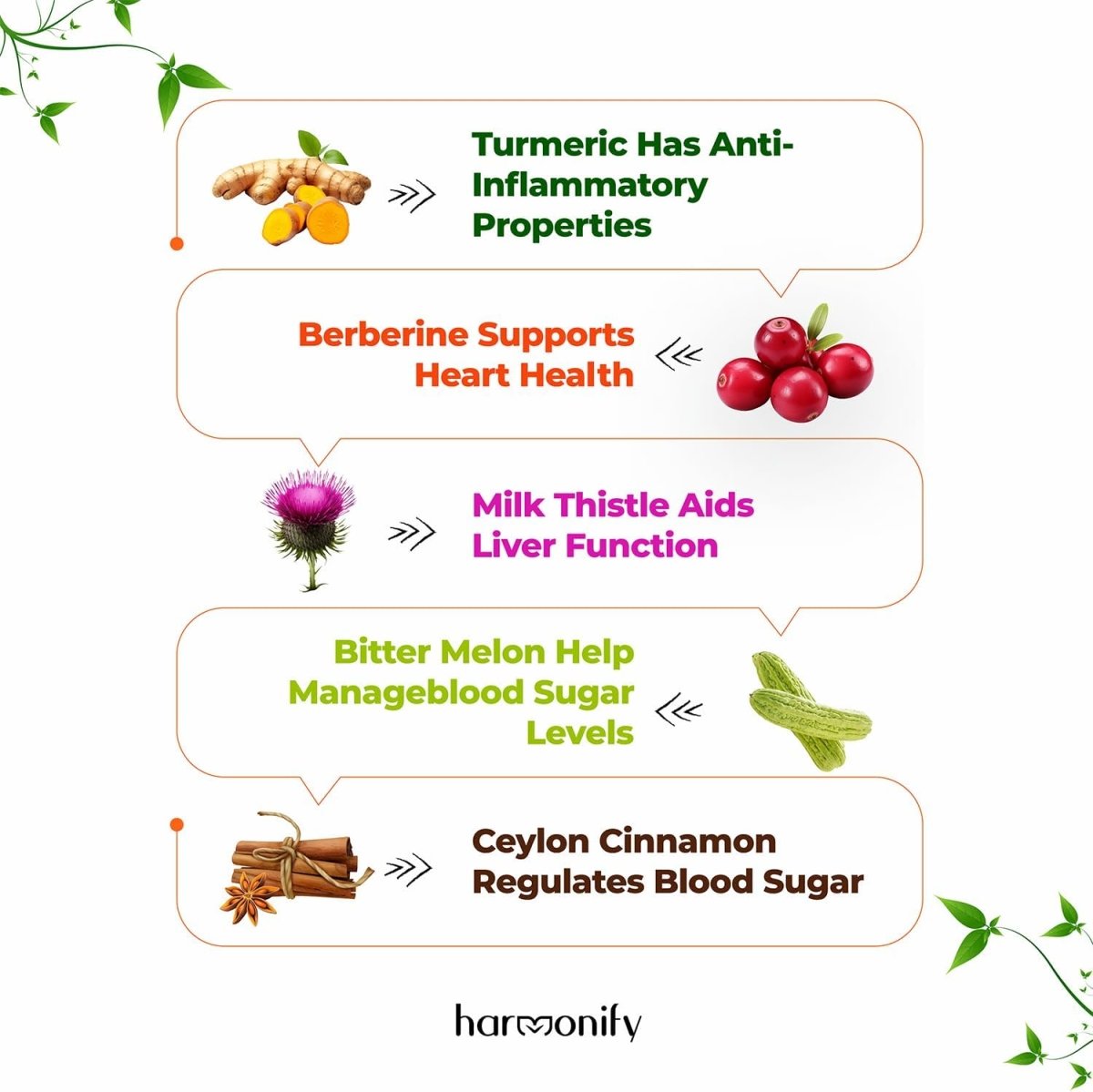 HARMONIFY Berberine with Ceylon Cinnamon, Turmeric, Milk Thistle and Bitter Melon | 1000 mg - HARMONIFY - HARMONIFY Berberine with Ceylon Cinnamon, Turmeric, Milk Thistle and Bitter Melon | 1000 mg - HARMONIFY - HARMONIFY Berberine with Ceylon Cinnamon, Turmeric, Milk Thistle and Bitter Melon | 1000 mg - HARMONIFY - HARMONIFY Berberine with Ceylon Cinnamon, Turmeric, Milk Thistle and Bitter Melon | 1000 mg - HARMONIFY - Supplement - HARMONIFY - Supplement - HARMONIFY - Supplement - 