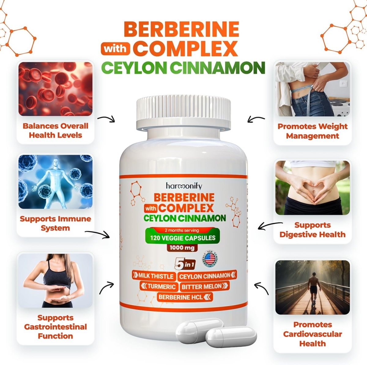 HARMONIFY Berberine with Ceylon Cinnamon, Turmeric, Milk Thistle and Bitter Melon | 1000 mg - HARMONIFY - HARMONIFY Berberine with Ceylon Cinnamon, Turmeric, Milk Thistle and Bitter Melon | 1000 mg - HARMONIFY - HARMONIFY Berberine with Ceylon Cinnamon, Turmeric, Milk Thistle and Bitter Melon | 1000 mg - HARMONIFY - HARMONIFY Berberine with Ceylon Cinnamon, Turmeric, Milk Thistle and Bitter Melon | 1000 mg - HARMONIFY - Supplement - HARMONIFY - Supplement - HARMONIFY - Supplement - 
