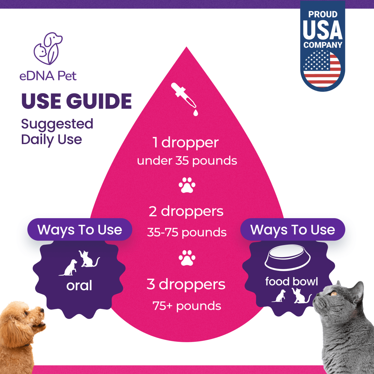 Dewormer Extract Drops for Dogs and Cats, Herbal Supplement by eDNA Pet for Cats & Dogs, 2 Fl. Oz - HARMONIFY - Dewormer Extract Drops for Dogs and Cats, Herbal Supplement by eDNA Pet for Cats & Dogs, 2 Fl. Oz - HARMONIFY - Pet Supplement - 
