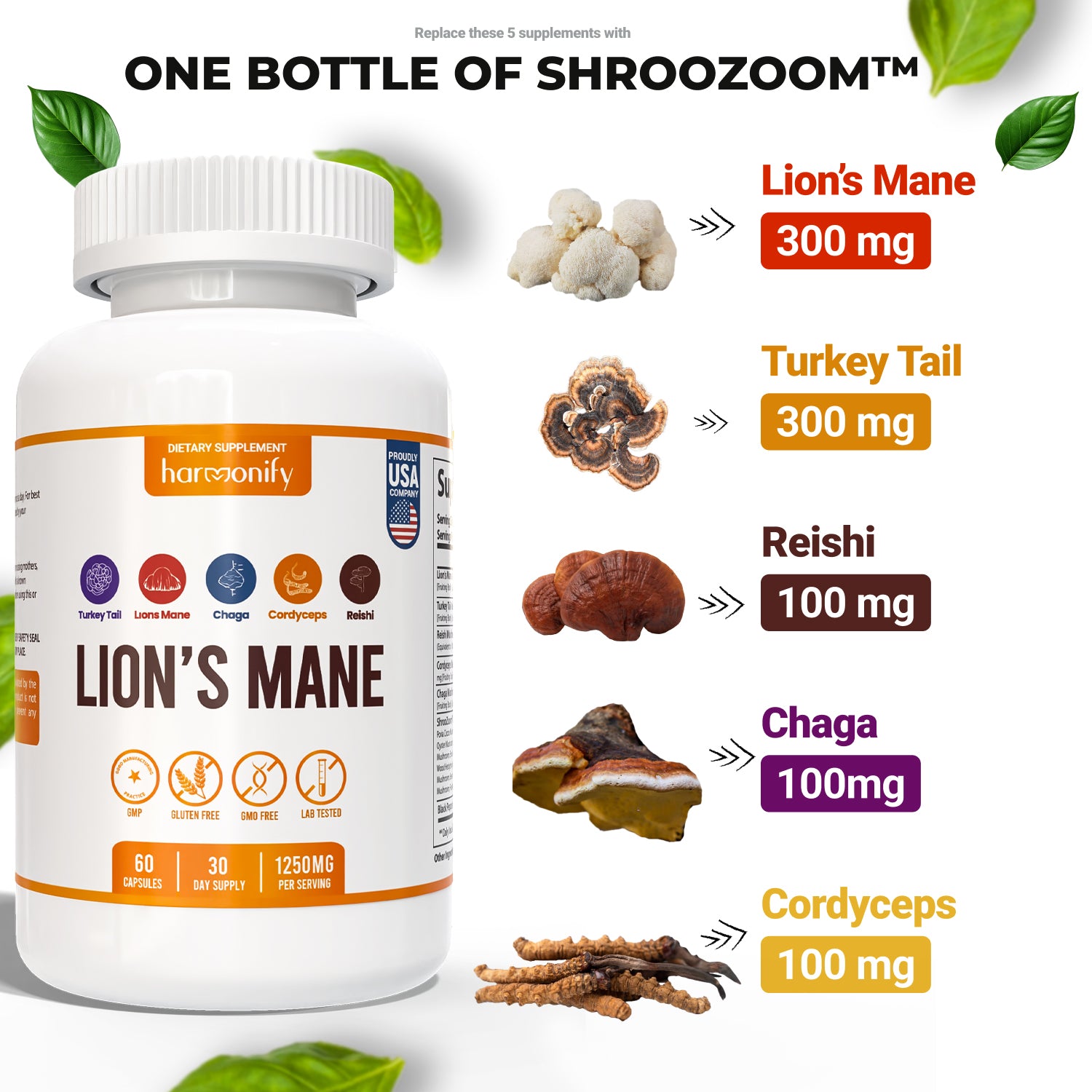 HARMONIFY Lions Mane Blend Supplement Capsules with Turkey Tail, Reishi, Cordyceps Chaga, Maitake, Meshima, Poria Cocos, Shiitake, Oyster, Porcini, Enoki Complex Mushroom