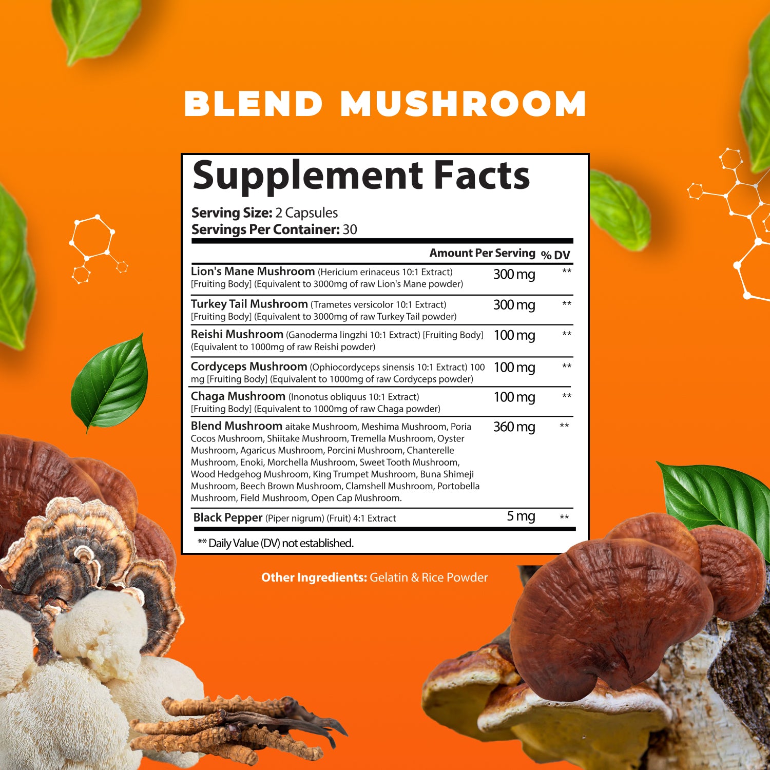 HARMONIFY Lions Mane Blend Supplement Capsules with Turkey Tail, Reishi, Cordyceps Chaga, Maitake, Meshima, Poria Cocos, Shiitake, Oyster, Porcini, Enoki Complex Mushroom