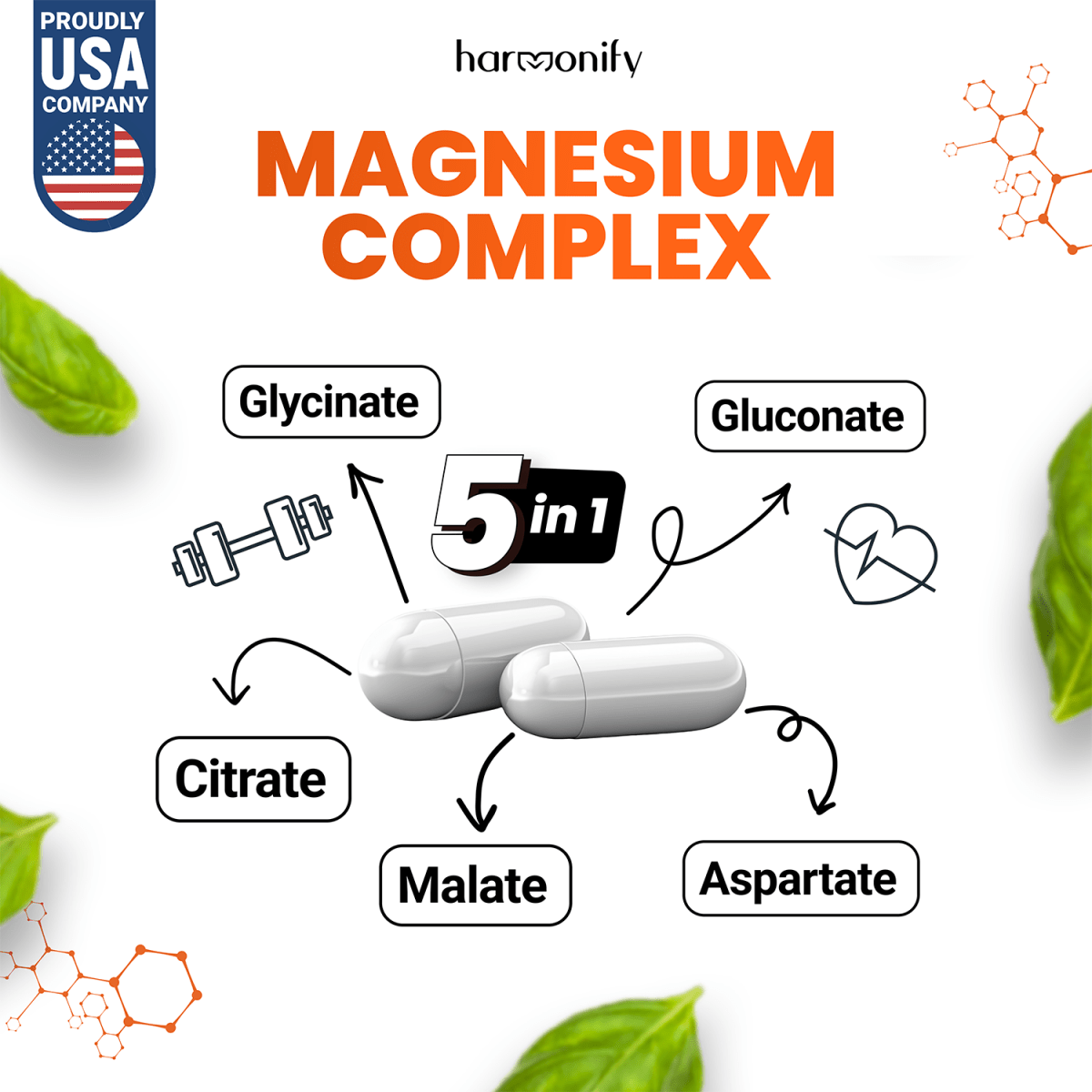 HARMONIFY Magnesium Glycinate, Citrate, Malate, Aspartate, Gluconate 1000 mg & 120 Capsule - HARMONIFY - HARMONIFY Magnesium Glycinate, Citrate, Malate, Aspartate, Gluconate 1000 mg & 120 Capsule - HARMONIFY - HARMONIFY Magnesium Glycinate, Citrate, Malate, Aspartate, Gluconate 1000 mg & 120 Capsule - HARMONIFY - HARMONIFY Magnesium Glycinate, Citrate, Malate, Aspartate, Gluconate 1000 mg & 120 Capsule - 004 - HRF - MagnesiumComplex - HARMONIFY - Supplement - 850056258067 - 004 - HRF - Magnesium