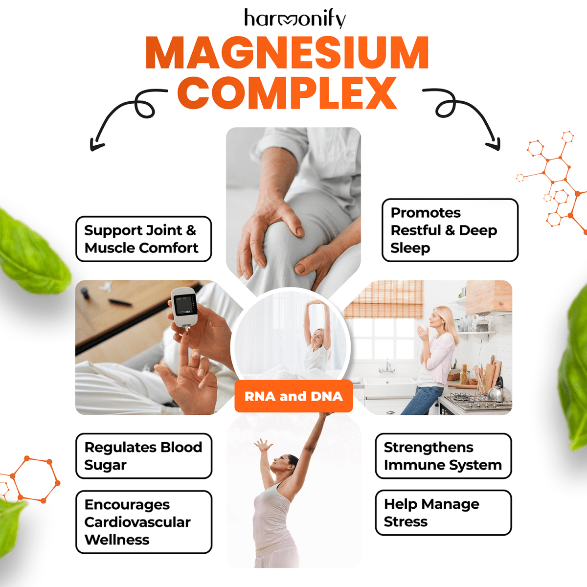 HARMONIFY Magnesium Glycinate, Citrate, Malate, Aspartate, Gluconate 1000 mg & 120 Capsule - HARMONIFY - HARMONIFY Magnesium Glycinate, Citrate, Malate, Aspartate, Gluconate 1000 mg & 120 Capsule - HARMONIFY - HARMONIFY Magnesium Glycinate, Citrate, Malate, Aspartate, Gluconate 1000 mg & 120 Capsule - HARMONIFY - HARMONIFY Magnesium Glycinate, Citrate, Malate, Aspartate, Gluconate 1000 mg & 120 Capsule - 004 - HRF - MagnesiumComplex - HARMONIFY - Supplement - 850056258067 - 004 - HRF - Magnesium