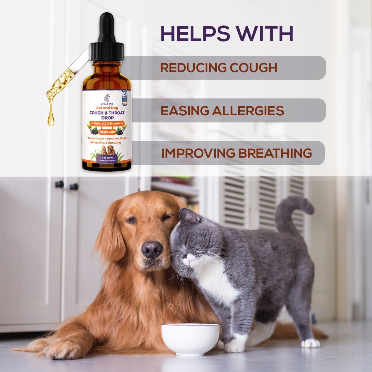 Kennel Cough Drops for Dogs & Cats | Pure Dog Cough Supplement | Fast - Acting Relief for Kennel Cough Symptoms | Soothes Throat & Respiratory System | Canine Cough Support - HARMONIFY - Kennel Cough Drops for Dogs & Cats | Pure Dog Cough Supplement | Fast - Acting Relief for Kennel Cough Symptoms | Soothes Throat & Respiratory System | Canine Cough Support - HARMONIFY - Kennel Cough Drops for Dogs & Cats | Pure Dog Cough Supplement | Fast - Acting Relief for Kennel Cough Symptoms | Soothes Thro