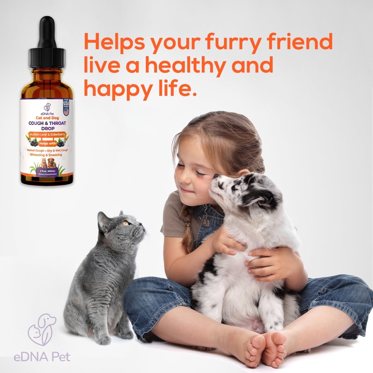 Kennel Cough Drops for Dogs & Cats | Pure Dog Cough Supplement | Fast - Acting Relief for Kennel Cough Symptoms | Soothes Throat & Respiratory System | Canine Cough Support - HARMONIFY - Kennel Cough Drops for Dogs & Cats | Pure Dog Cough Supplement | Fast - Acting Relief for Kennel Cough Symptoms | Soothes Throat & Respiratory System | Canine Cough Support - HARMONIFY - Kennel Cough Drops for Dogs & Cats | Pure Dog Cough Supplement | Fast - Acting Relief for Kennel Cough Symptoms | Soothes Thro