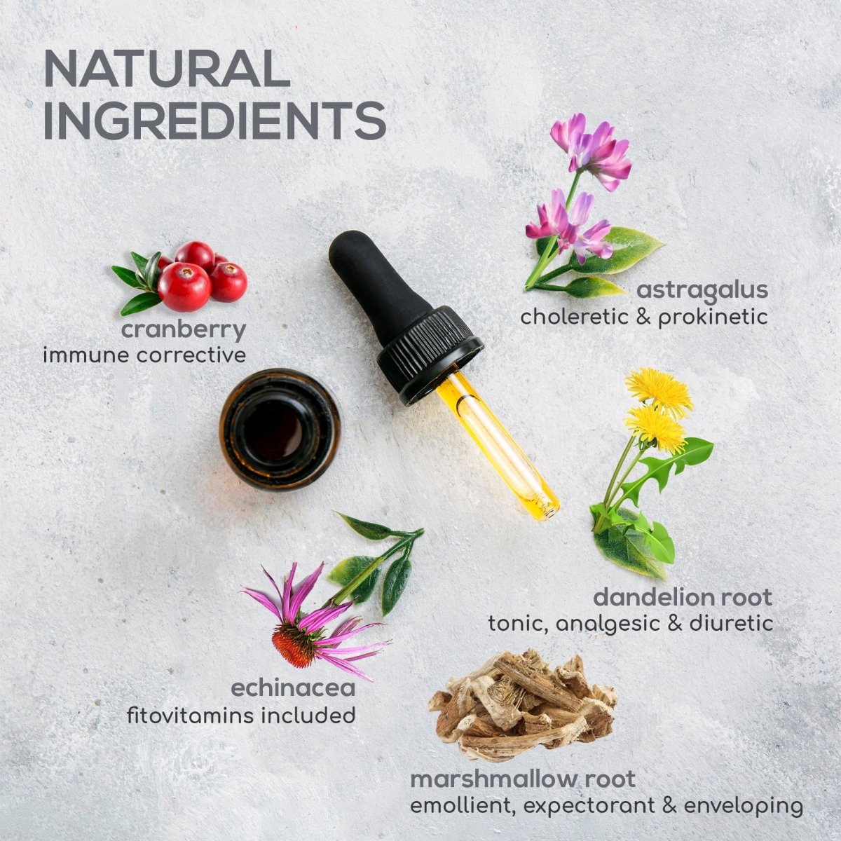 Dog UTI Treatment | Urinary Tract Infection Drops for Cats & Dogs | Cat UTI Remedy | Cranberry Supplement | Kidney Health Support, 2 Fl.Oz - HARMONIFY - Dog UTI Treatment | Urinary Tract Infection Drops for Cats & Dogs | Cat UTI Remedy | Cranberry Supplement | Kidney Health Support, 2 Fl.Oz - HARMONIFY - Pet Supplement - 