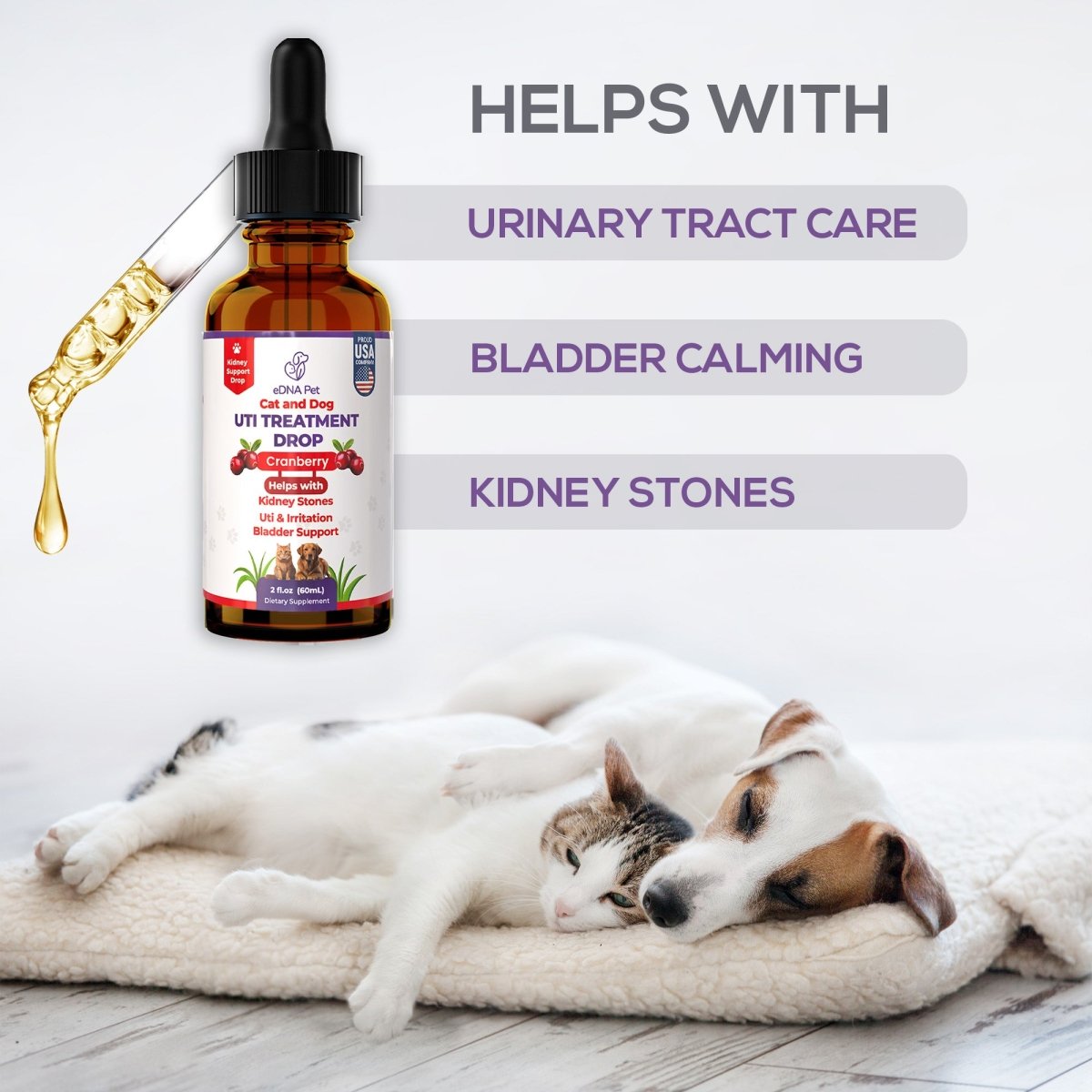 Dog UTI Treatment | Urinary Tract Infection Drops for Cats & Dogs | Cat UTI Remedy | Cranberry Supplement | Kidney Health Support, 2 Fl.Oz - HARMONIFY - Dog UTI Treatment | Urinary Tract Infection Drops for Cats & Dogs | Cat UTI Remedy | Cranberry Supplement | Kidney Health Support, 2 Fl.Oz - HARMONIFY - Pet Supplement - 