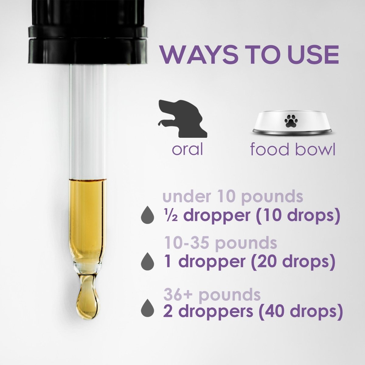 Dog UTI Treatment | Urinary Tract Infection Drops for Cats & Dogs | Cat UTI Remedy | Cranberry Supplement | Kidney Health Support, 2 Fl.Oz - HARMONIFY - Dog UTI Treatment | Urinary Tract Infection Drops for Cats & Dogs | Cat UTI Remedy | Cranberry Supplement | Kidney Health Support, 2 Fl.Oz - HARMONIFY - Pet Supplement - 