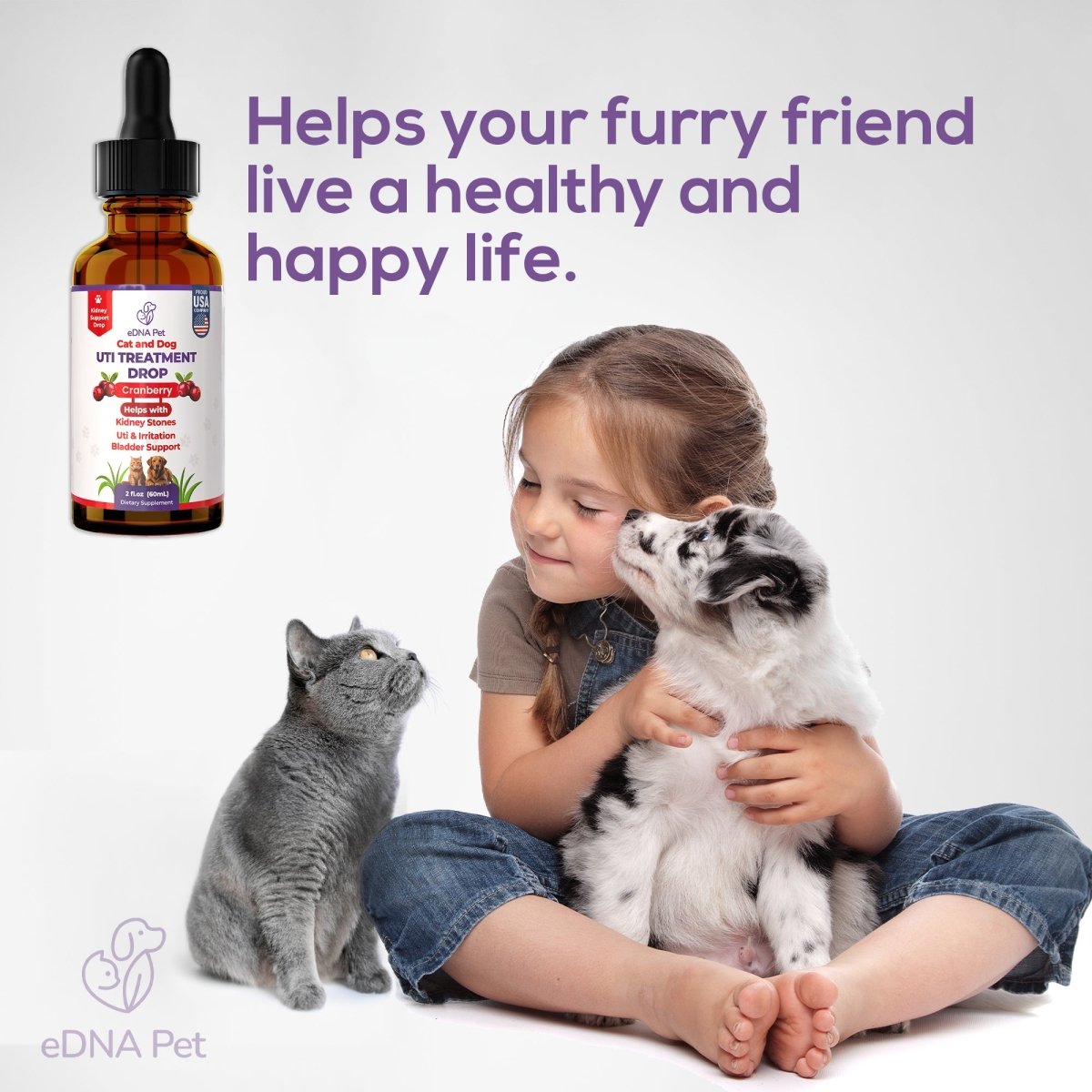 Dog UTI Treatment | Urinary Tract Infection Drops for Cats & Dogs | Cat UTI Remedy | Cranberry Supplement | Kidney Health Support, 2 Fl.Oz - HARMONIFY - Dog UTI Treatment | Urinary Tract Infection Drops for Cats & Dogs | Cat UTI Remedy | Cranberry Supplement | Kidney Health Support, 2 Fl.Oz - HARMONIFY - Pet Supplement - 