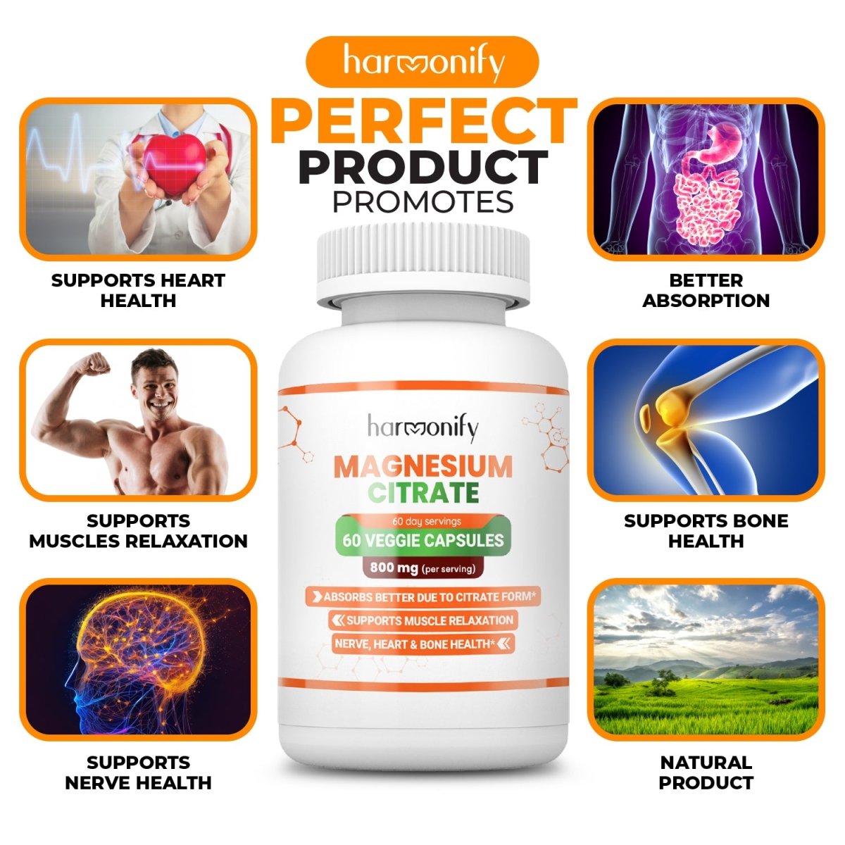 HARMONIFY Magnesium Citrate Supplement 800 mg per Serving, 60 Vegetarian Capsules - HARMONIFY - HARMONIFY Magnesium Citrate Supplement 800 mg per Serving, 60 Vegetarian Capsules - HARMONIFY - HARMONIFY Magnesium Citrate Supplement 800 mg per Serving, 60 Vegetarian Capsules - HARMONIFY - HARMONIFY Magnesium Citrate Supplement 800 mg per Serving, 60 Vegetarian Capsules - HARMONIFY - Supplement - HARMONIFY - Supplement - HARMONIFY - Supplement - 