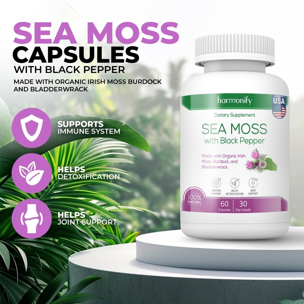 Organic Sea Moss Wildcrafted Irish Seamoss, Bladderwrack & Burdock Root, Supplement for Immunity, 60Ct, 1 Pack - HARMONIFY - Organic Sea Moss Wildcrafted Irish Seamoss, Bladderwrack & Burdock Root, Supplement for Immunity, 60Ct, 1 Pack - HARMONIFY - Supplement - 