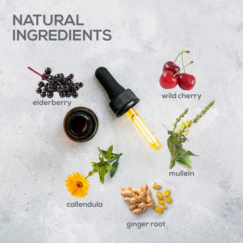 Dewormer Extract Drops for Dogs and Cats, Herbal Supplement by eDNA Pet for Cats & Dogs, 2 Fl. Oz - HARMONIFY - Dewormer Extract Drops for Dogs and Cats, Herbal Supplement by eDNA Pet for Cats & Dogs, 2 Fl. Oz - HARMONIFY - Pet Supplement - 