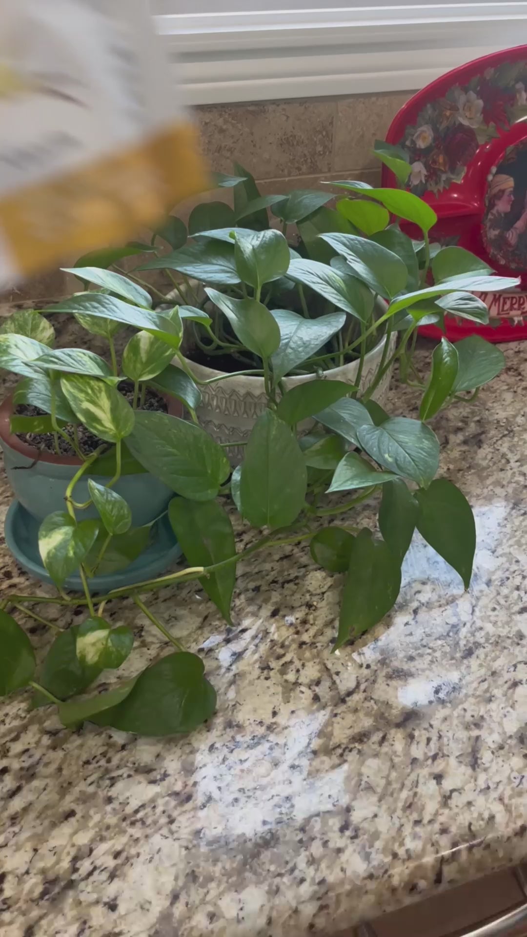 HARMONIFY Weight Loss Shakes for Women with Vanilla Flavor, Keto & Fat Burner, 16,9 Oz